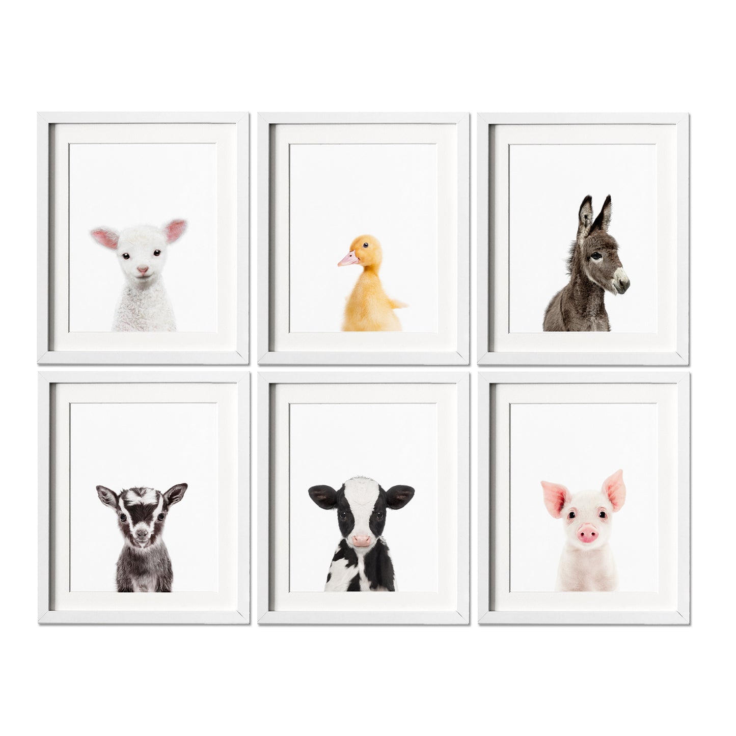 Farm Nursery Art Prints Set of 6
