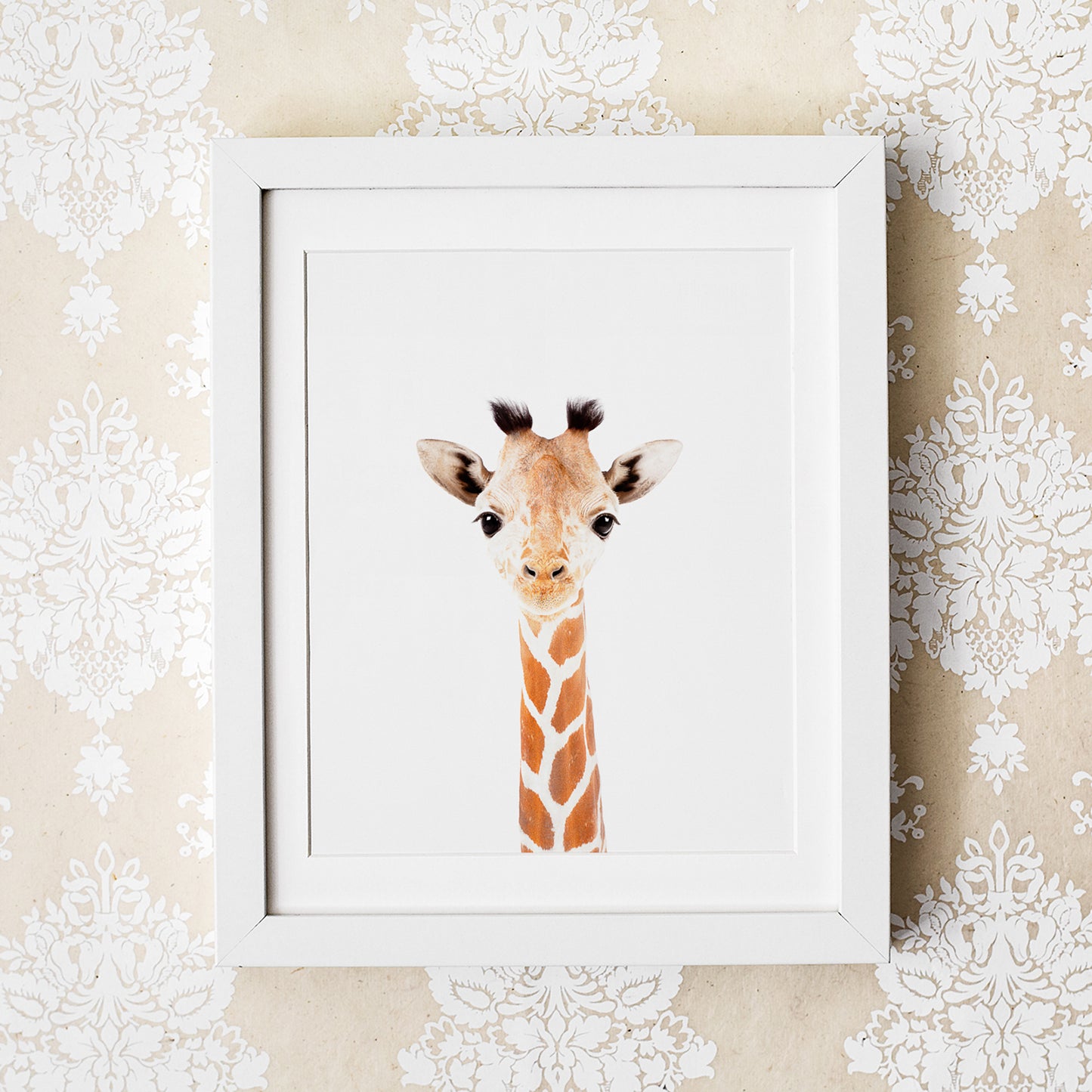 Safari Nursery Art Prints Set of 6
