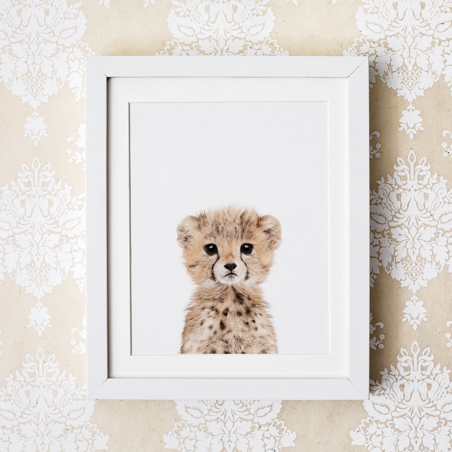 Baby Cheetah Wall Art Print