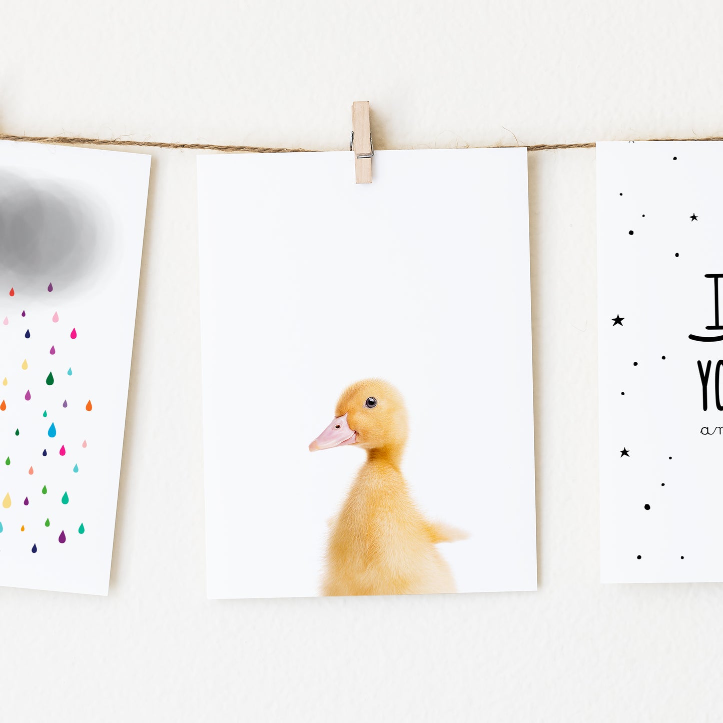 Baby Goose Wall Art Print