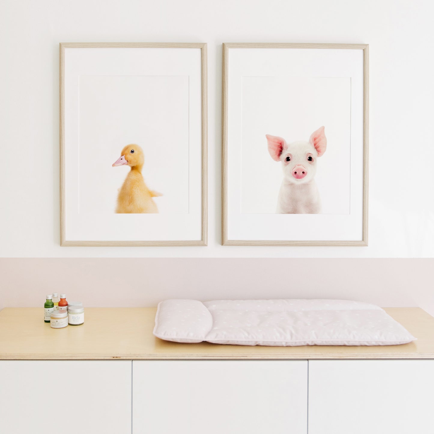 Baby Goose Wall Art Print
