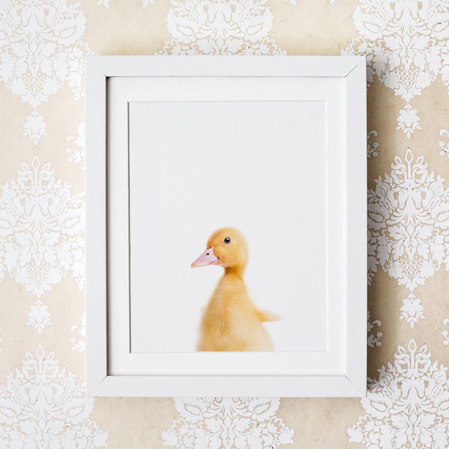 Baby Goose Wall Art Print