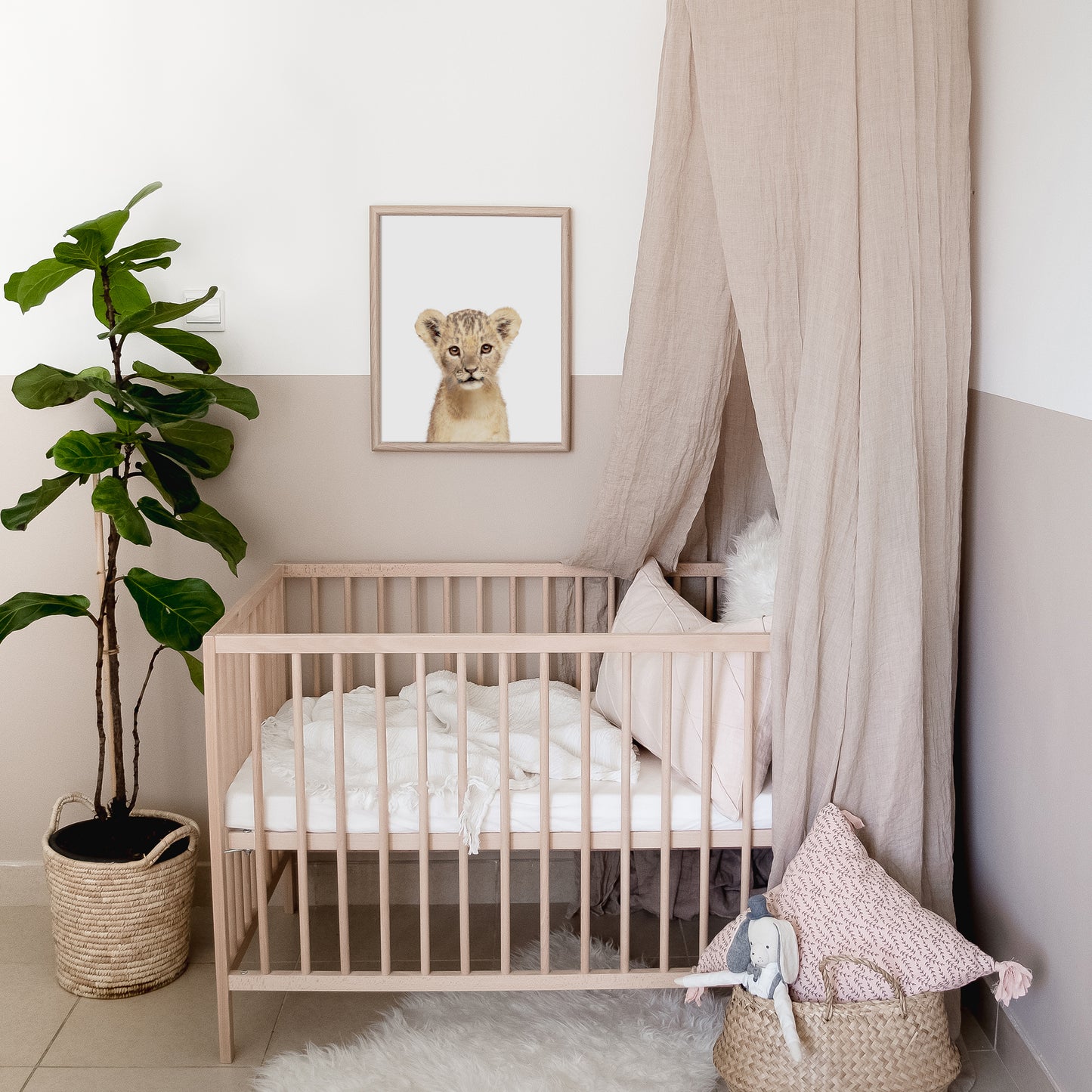 Baby Lion Print