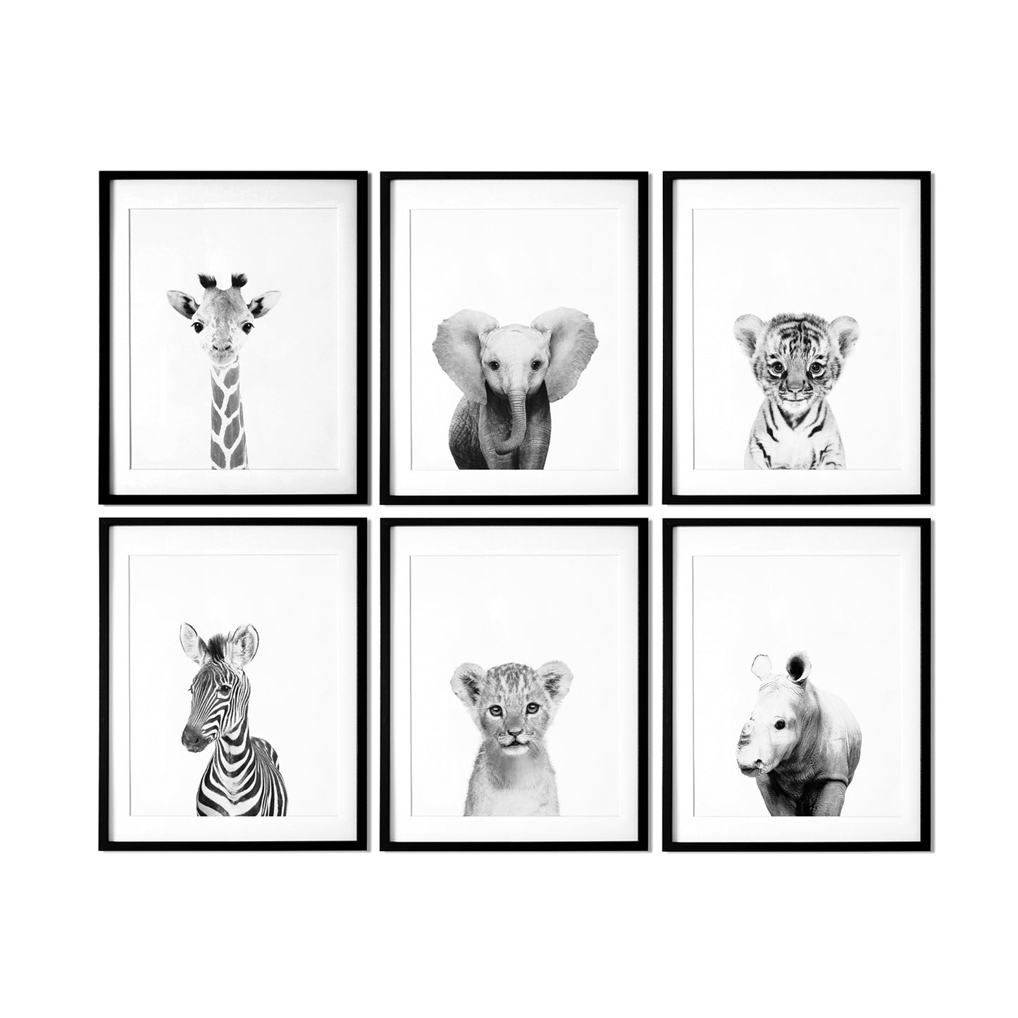 Black and White Safari Animal Prints Set of 6