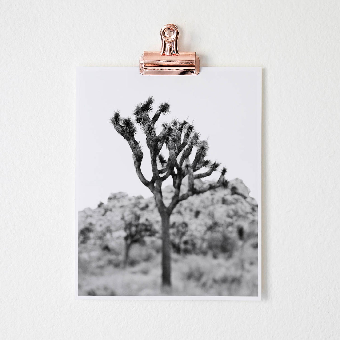 Joshua tree black and white art print