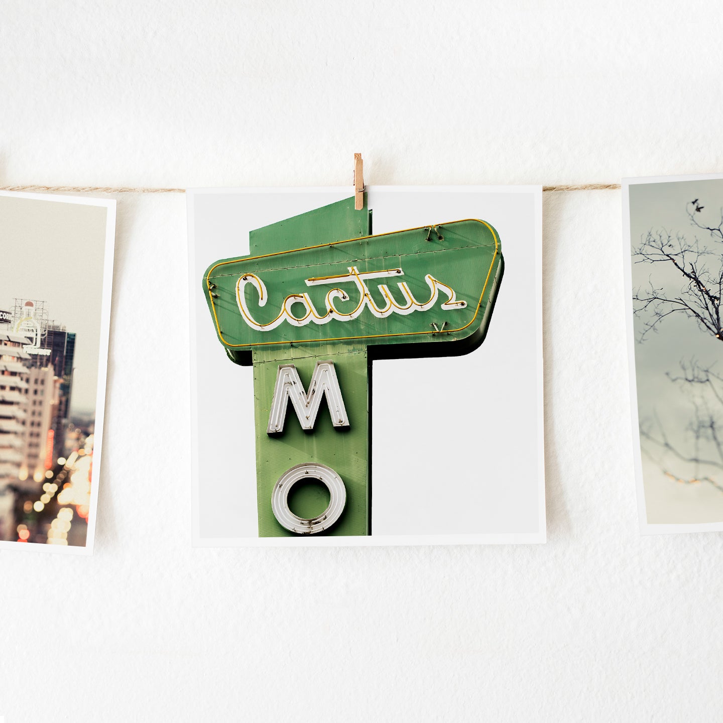cactus motel fine art photography