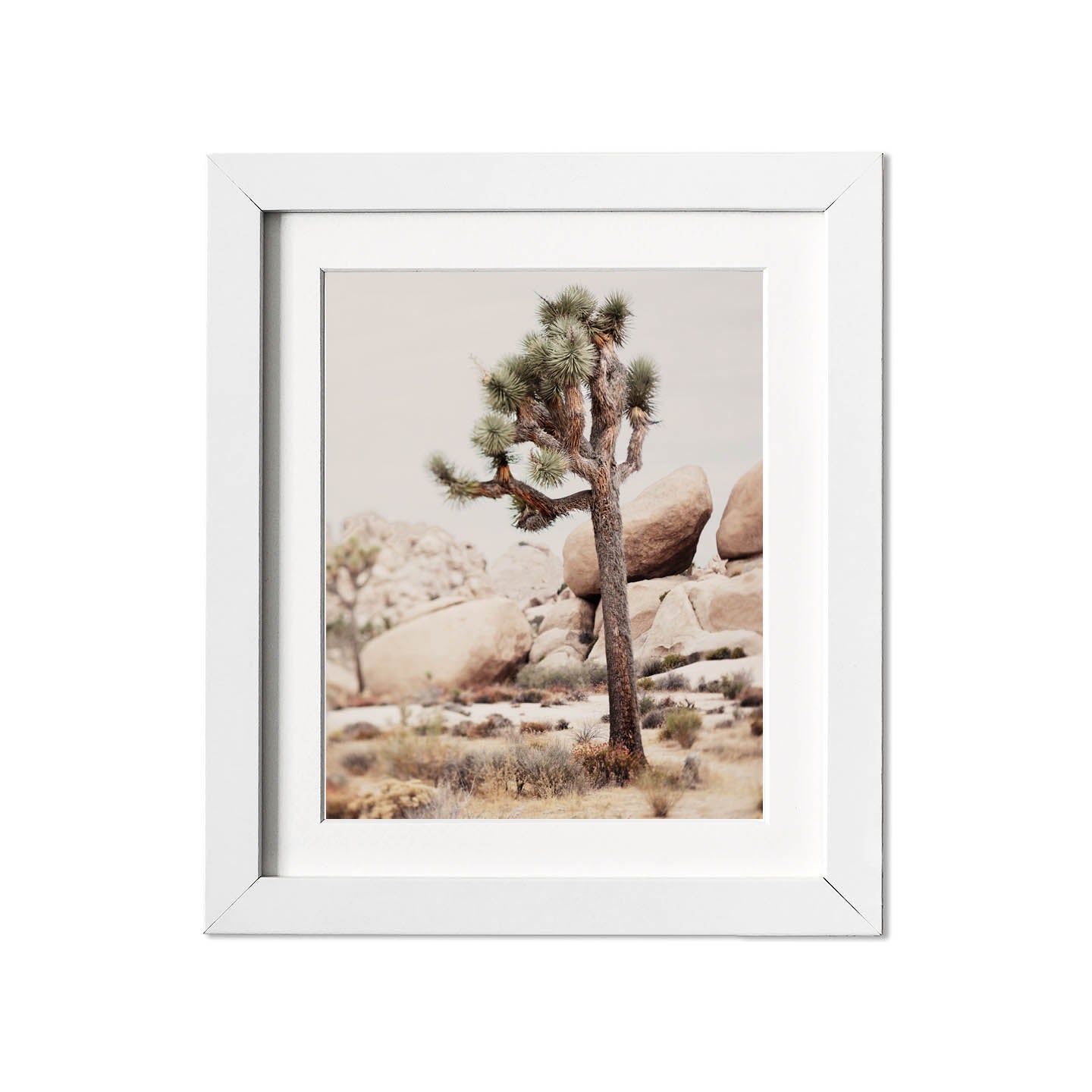 Joshua Tree Fine Art Photography