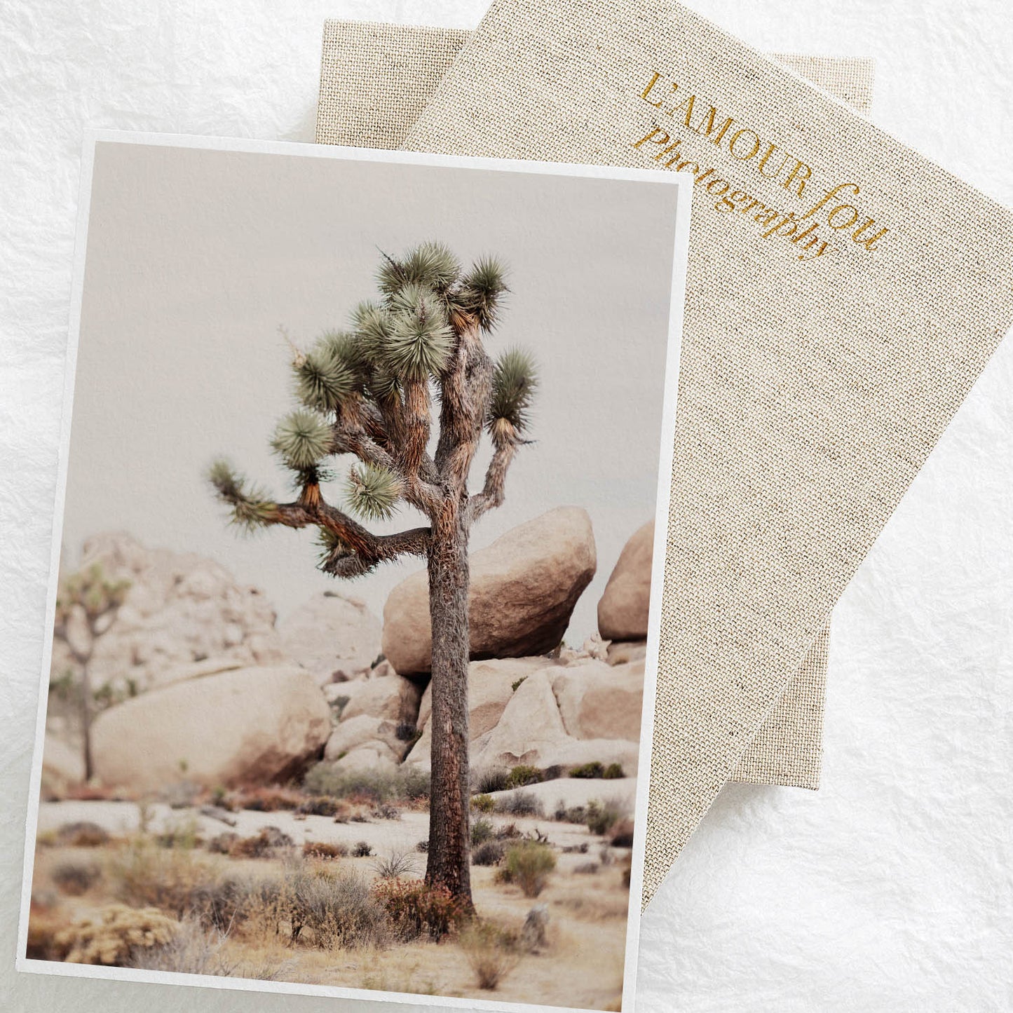 Joshua Tree Fine Art Photography