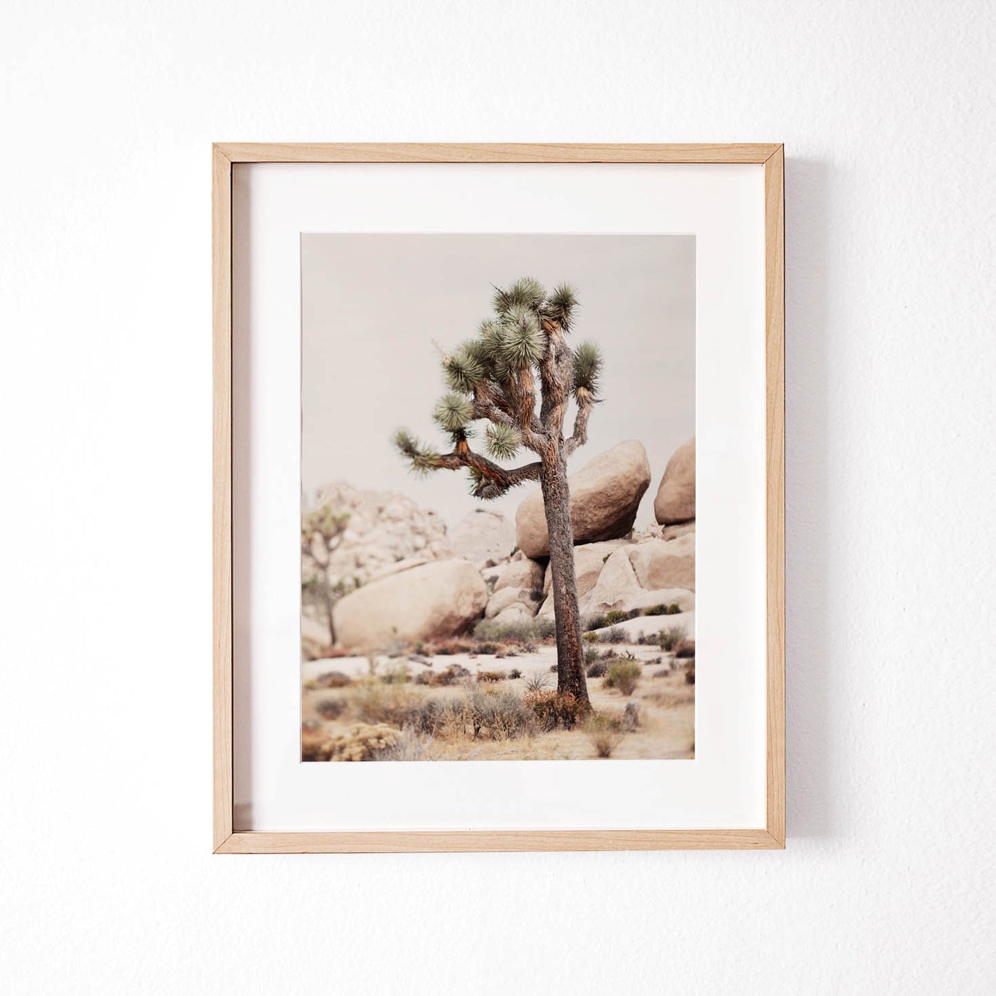 Joshua Tree Fine Art Photography