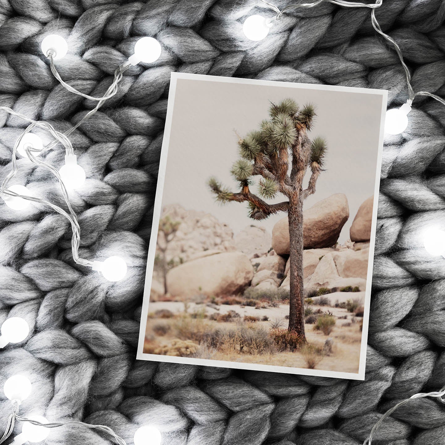 Joshua Tree Fine Art Photography