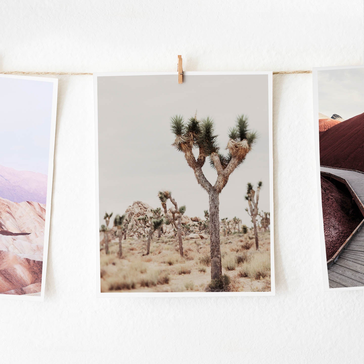 Joshua tree fine art photography