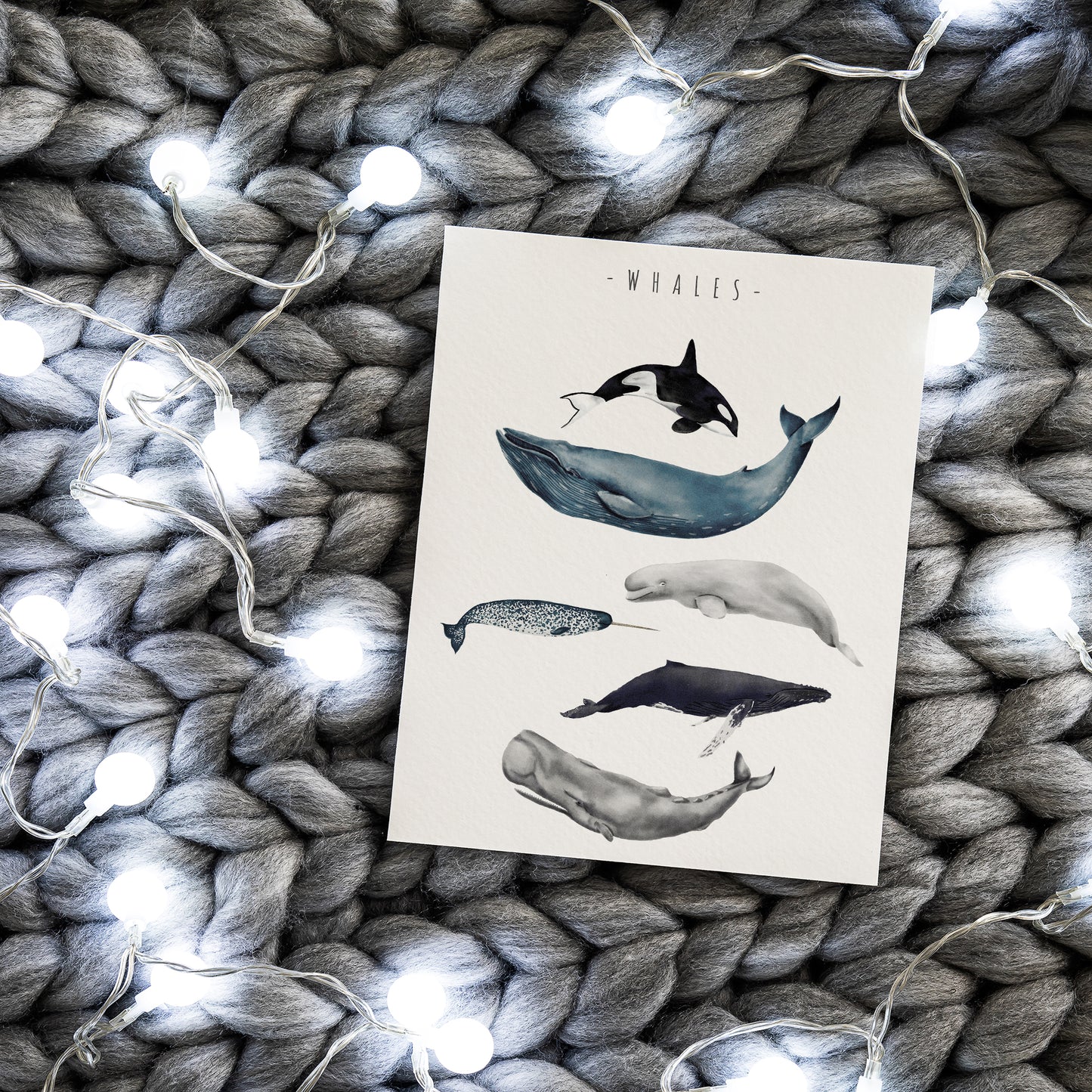 Whale Wall Art for kids room or nursery