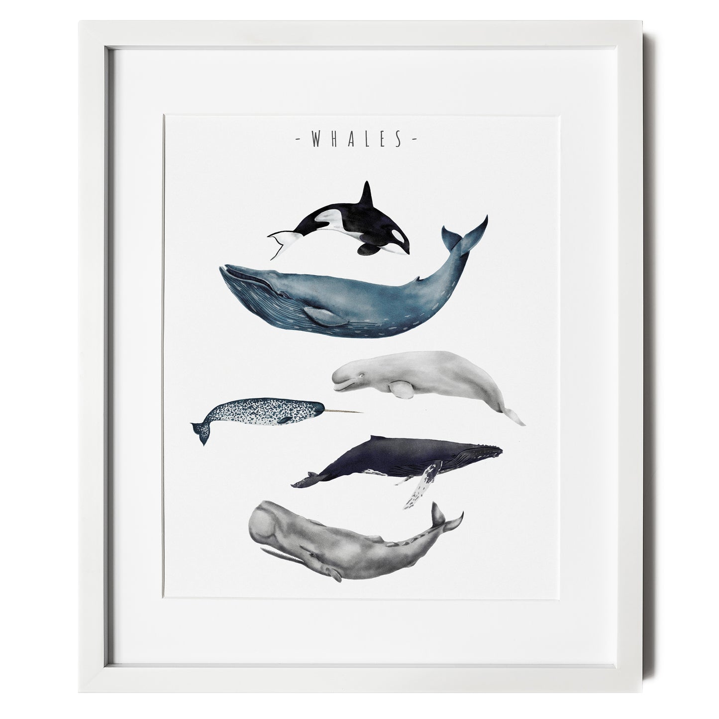 Whale Wall Art for kids room or nursery