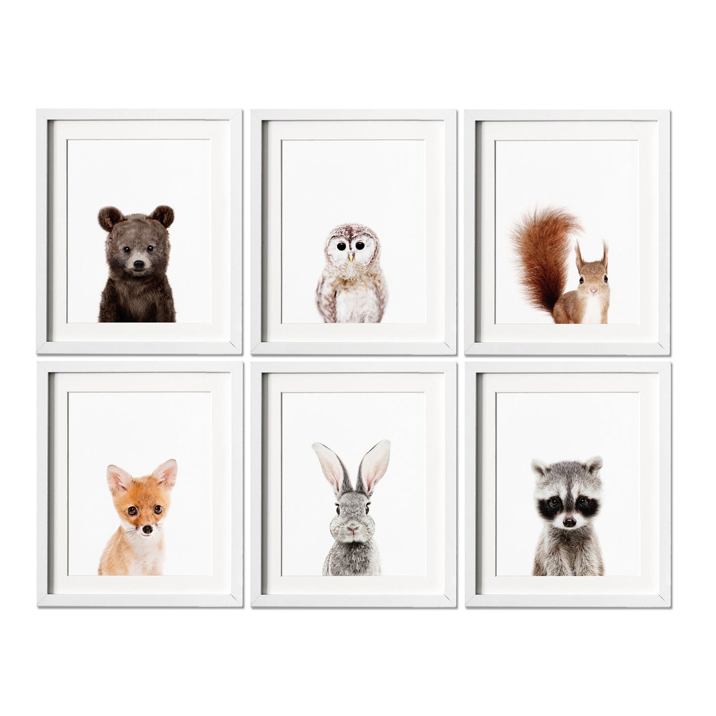 Woodland Animal Prints Set of 6