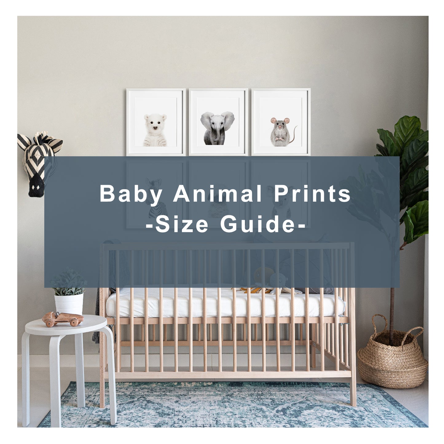 how to frame baby animal prints