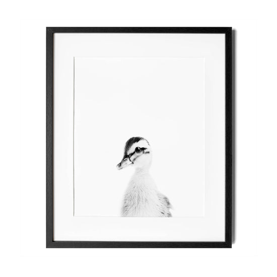 Black and White Duck Wall Art for nursery