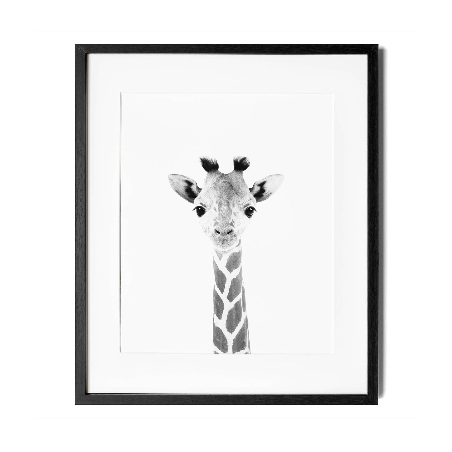 Black and White Giraffe Wall Art for nursery 