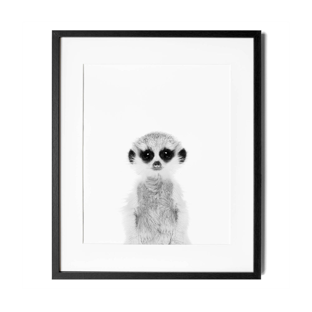 
                      
                        Black and White Meerkat Wall Art for nursery
                      
                    