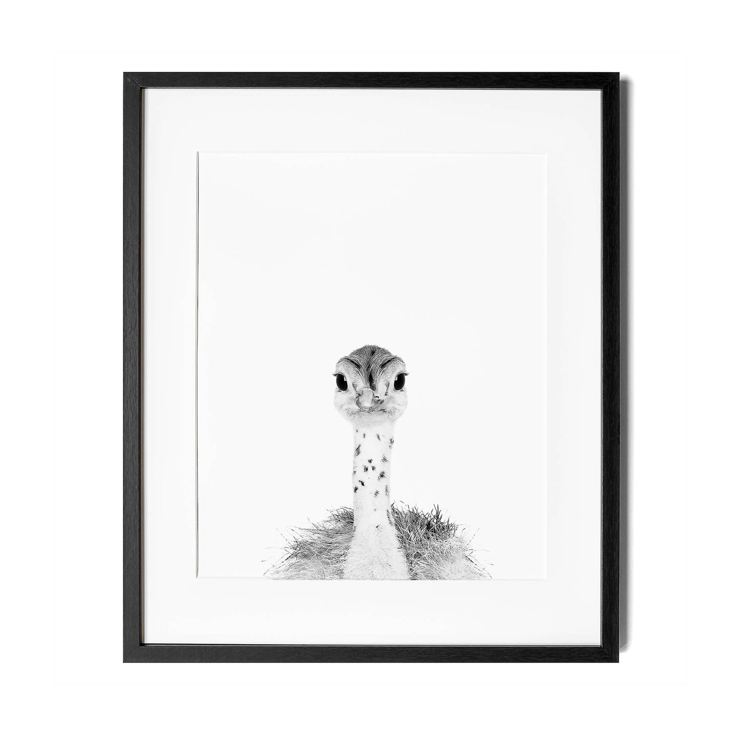 Black and White Ostrich Chick Wall Art for nursery 