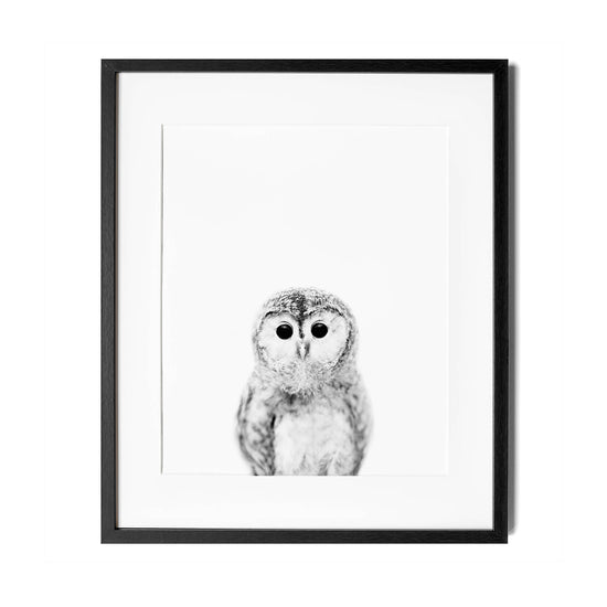 Black and White Owl Wall Art for nursery