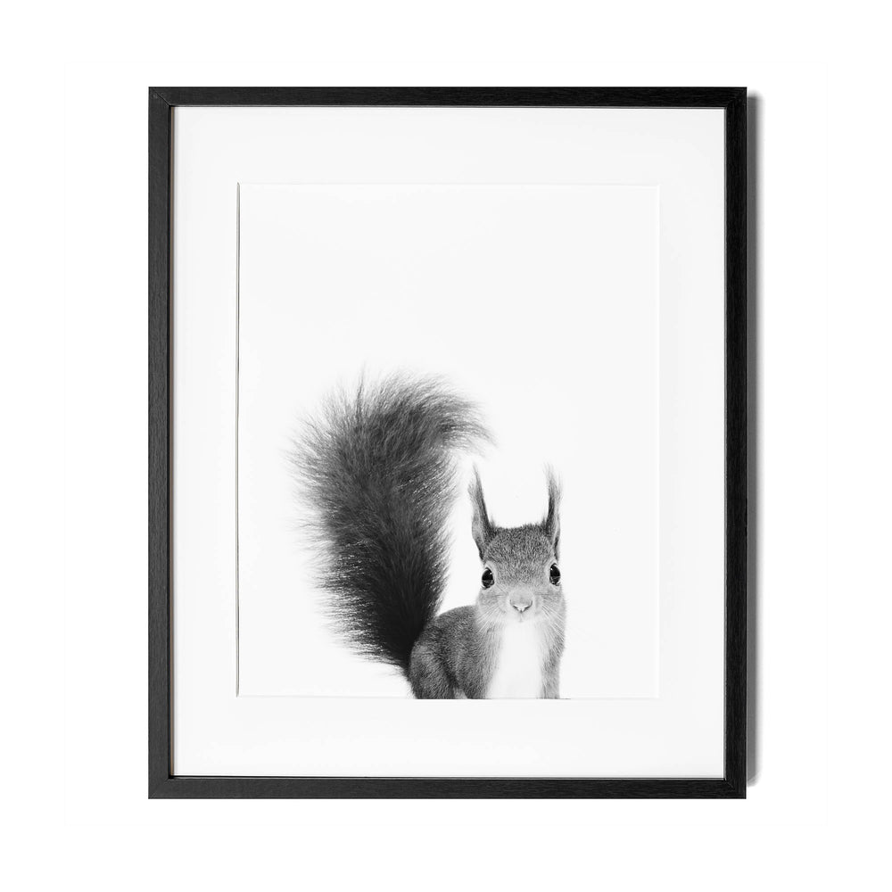 Black and White Squirrel Wall Art for nursery 