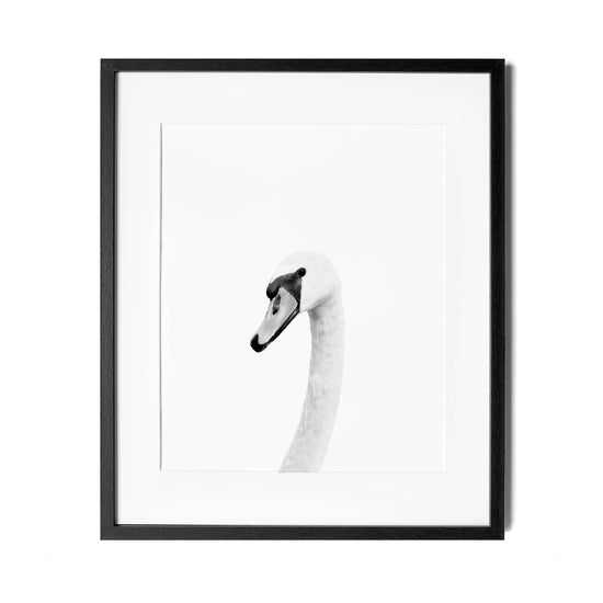 Black and White Swan Wall Art for nursery 