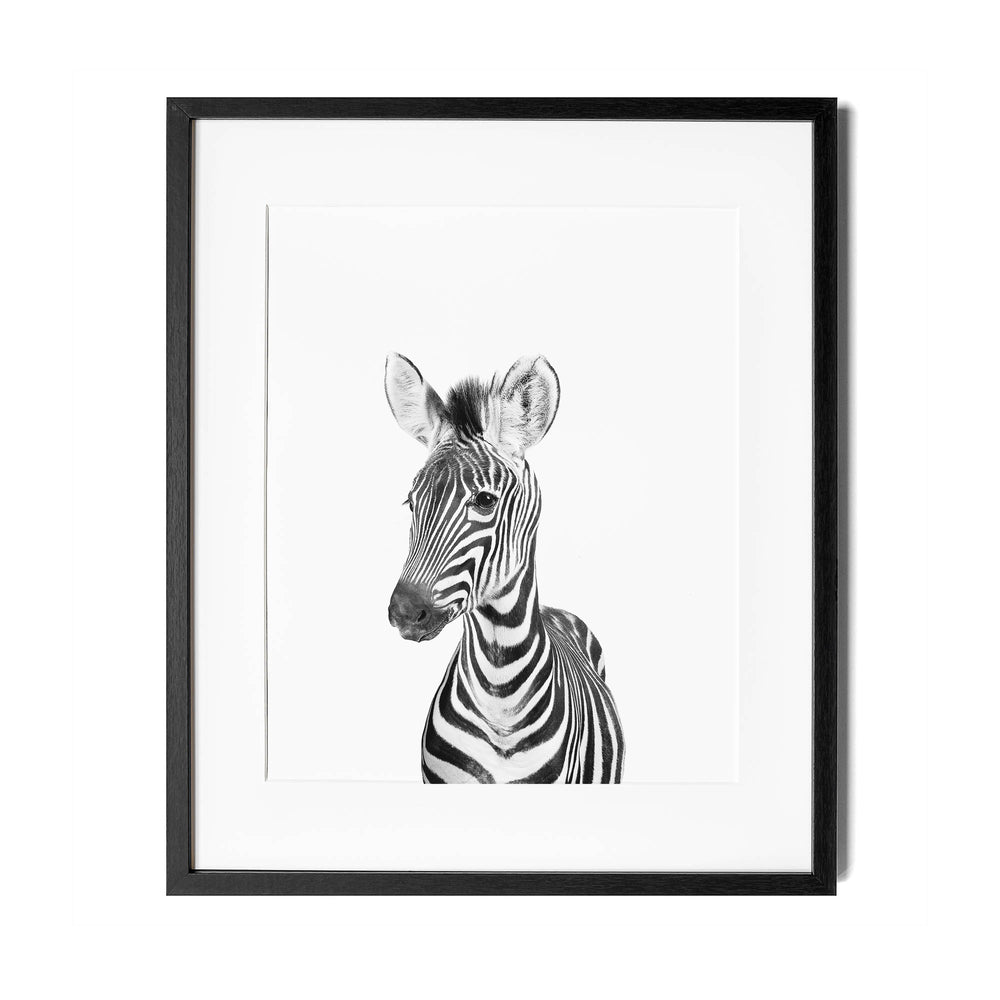 Black and White Zebra Wall Art for nursery 