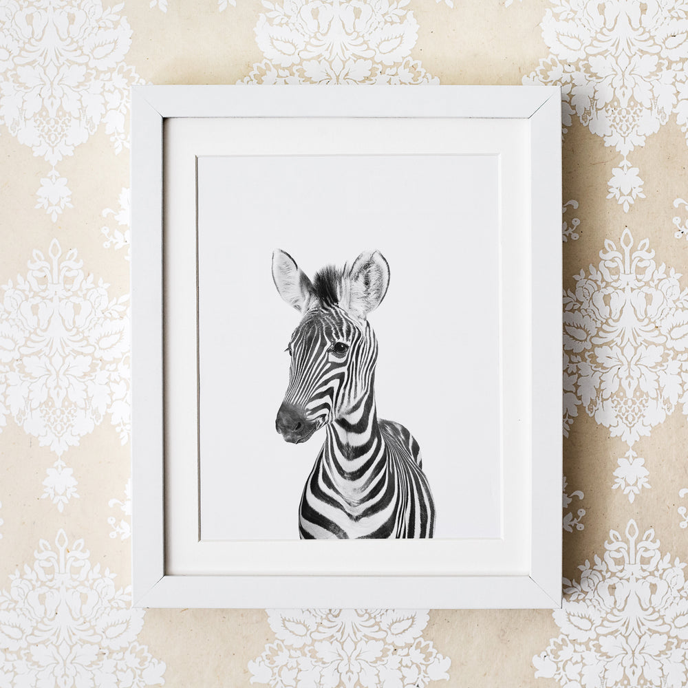 
                      
                        Black and White Zebra Wall Art for nursery 
                      
                    