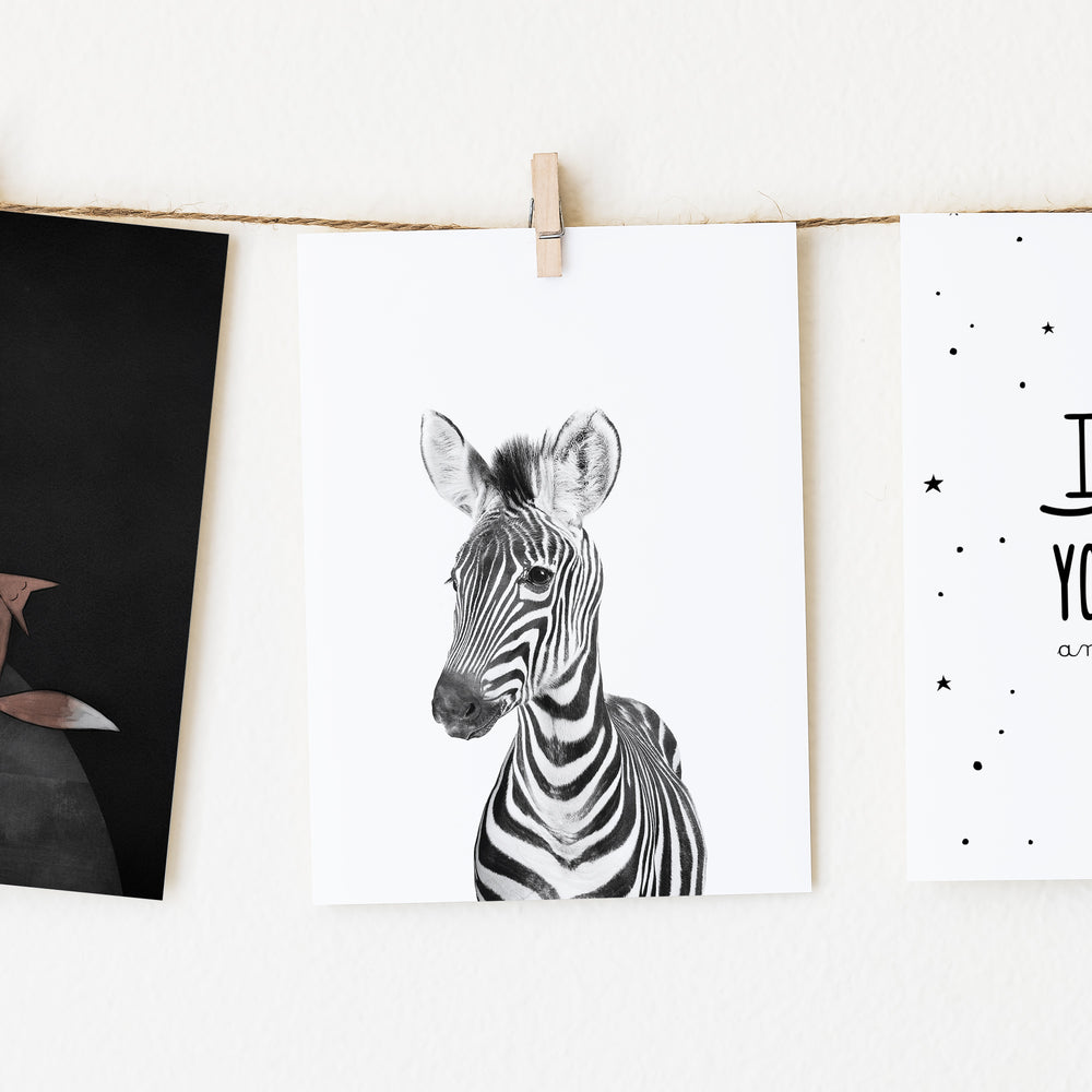 
                      
                        Black and White Zebra Wall Art for nursery 
                      
                    