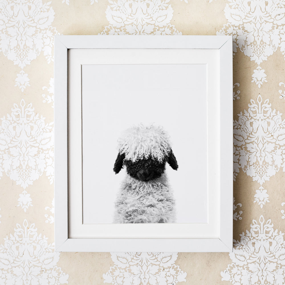 
                      
                        Black and White Lamb Blacknose Wall Art
                      
                    