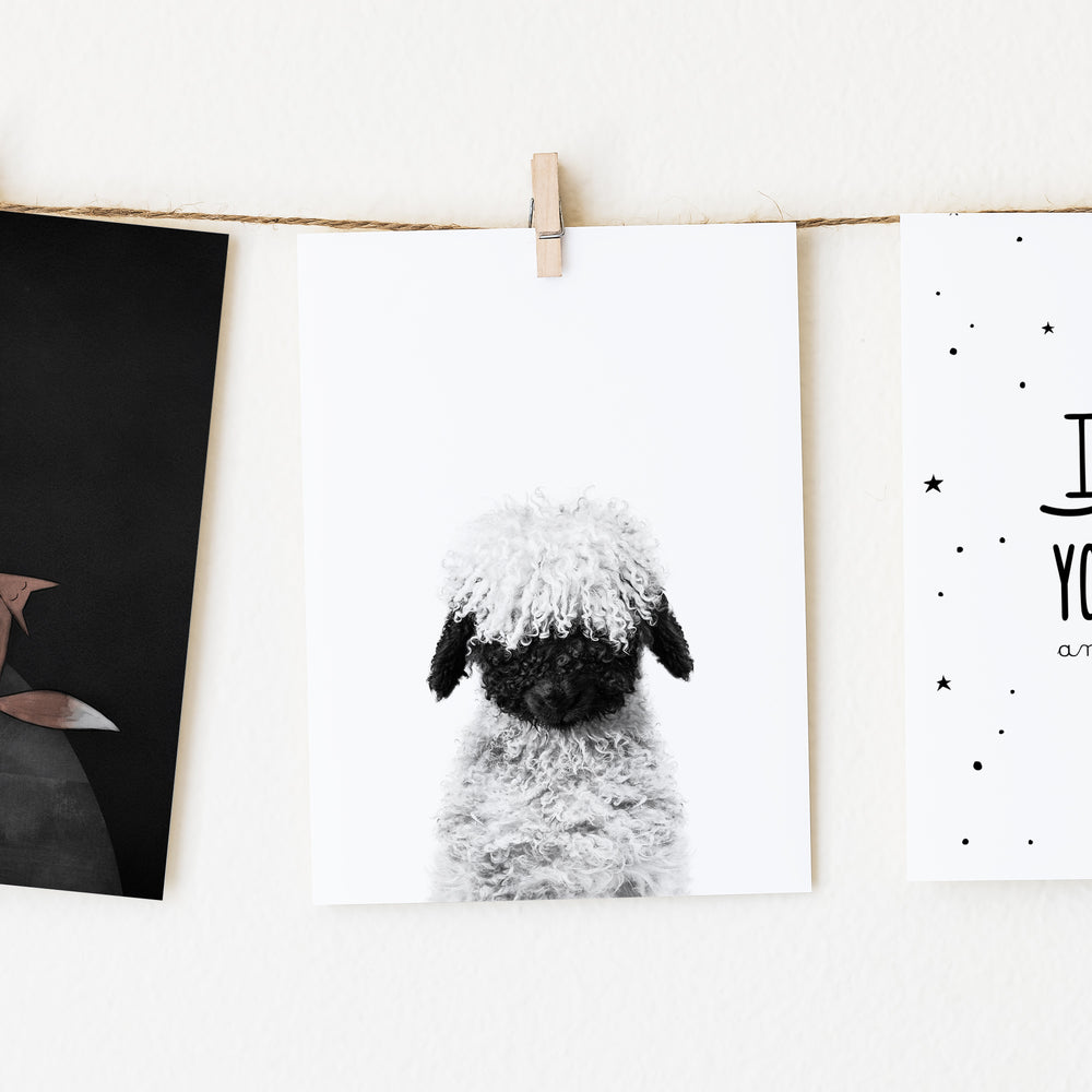 
                      
                        Black and White Lamb Blacknose Wall Art
                      
                    