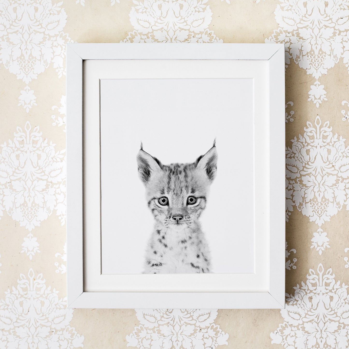 Black and White Baby Bobcat Wall Art for nursery