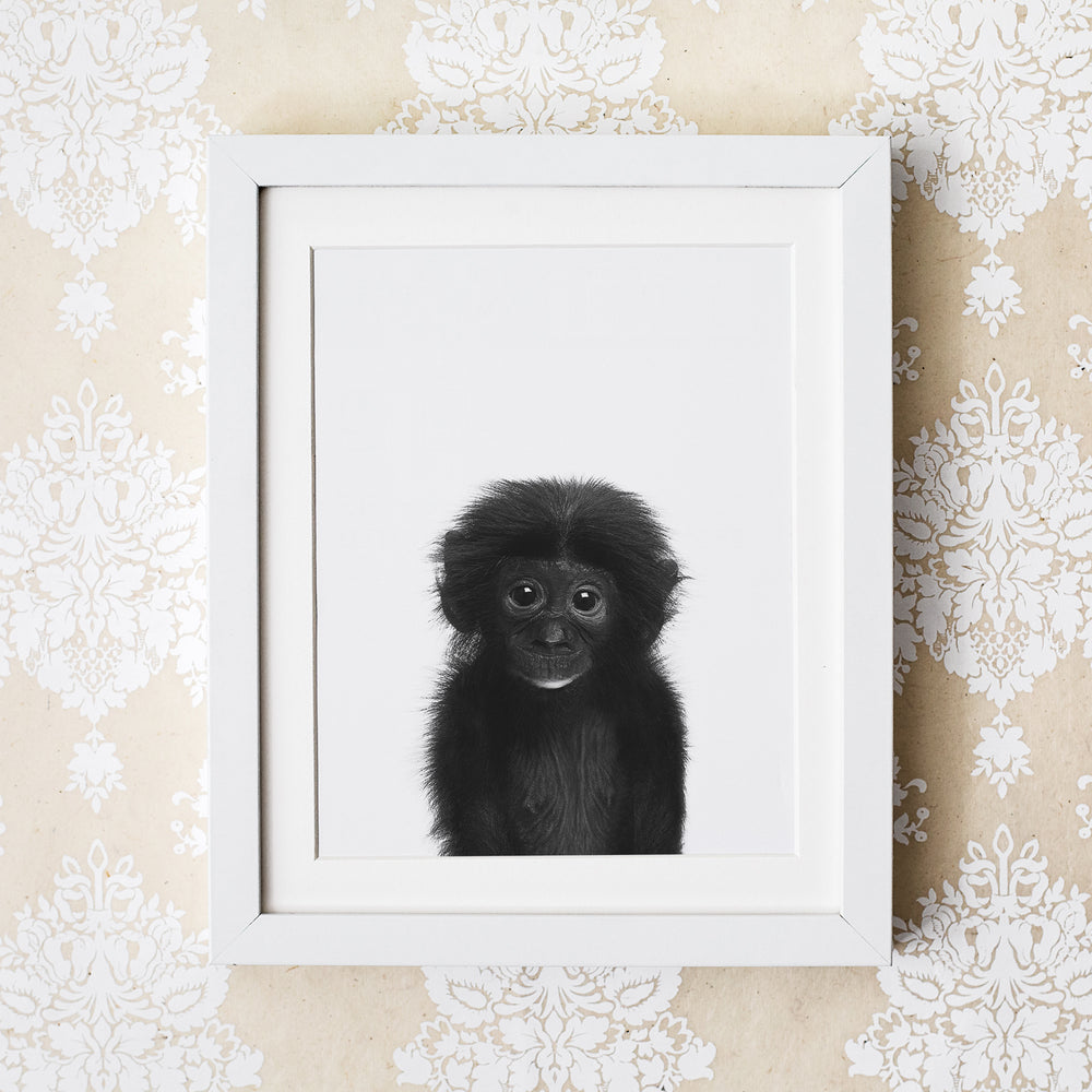 
                      
                        Black and White Monkey Wall Art for nursery
                      
                    