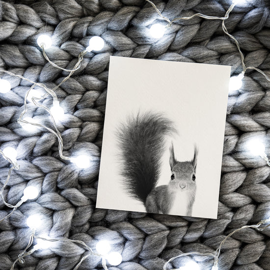 Black and White Squirrel Wall Art for nursery 