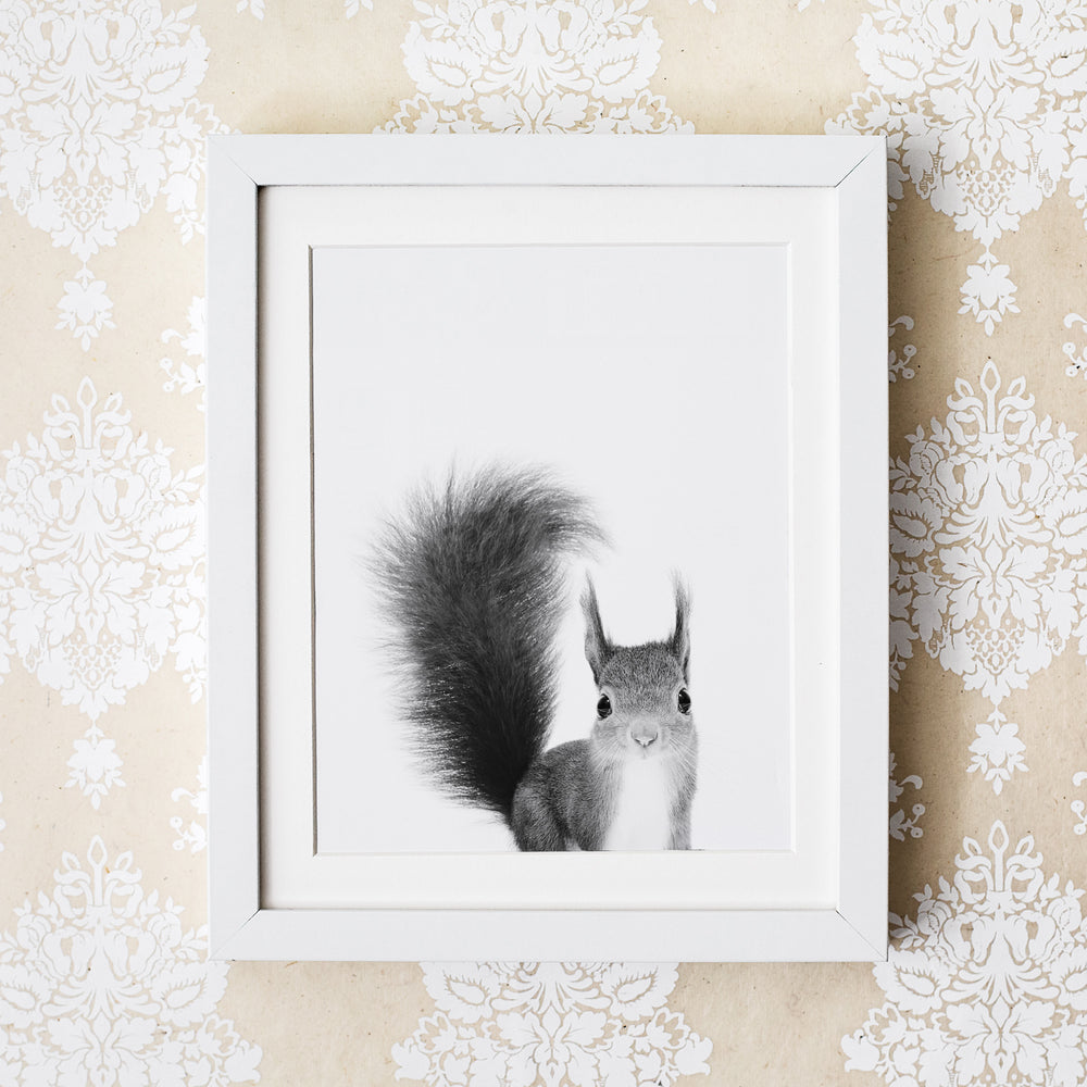 
                      
                        Black and White Squirrel Wall Art for nursery 
                      
                    