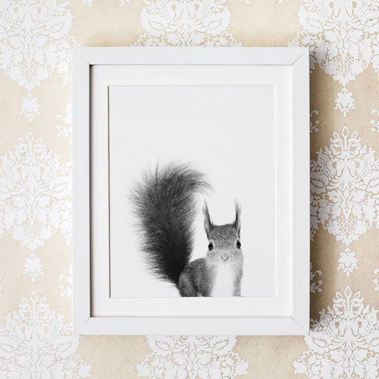Black and White Squirrel Wall Art for nursery 