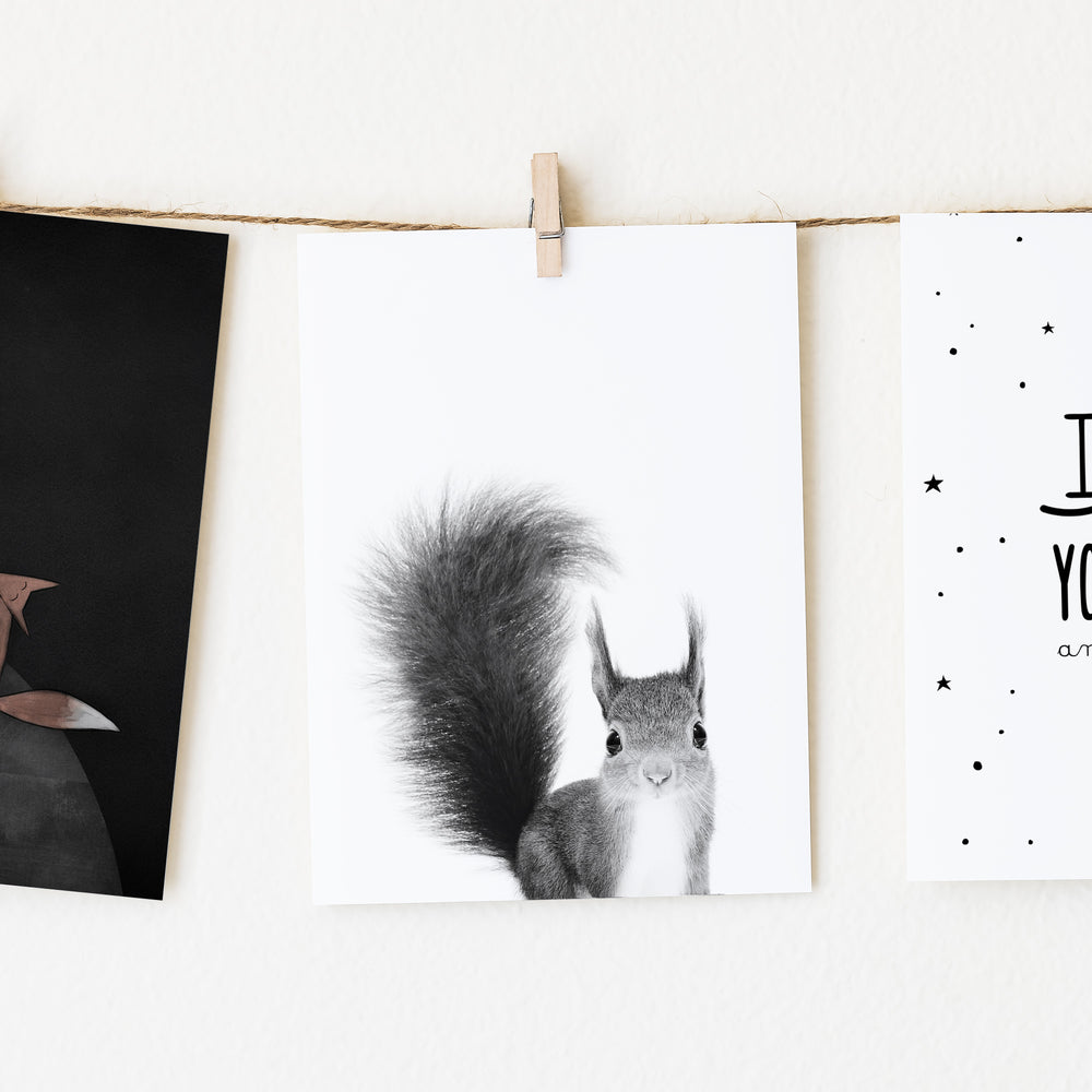 
                      
                        Black and White Squirrel Wall Art for nursery 
                      
                    