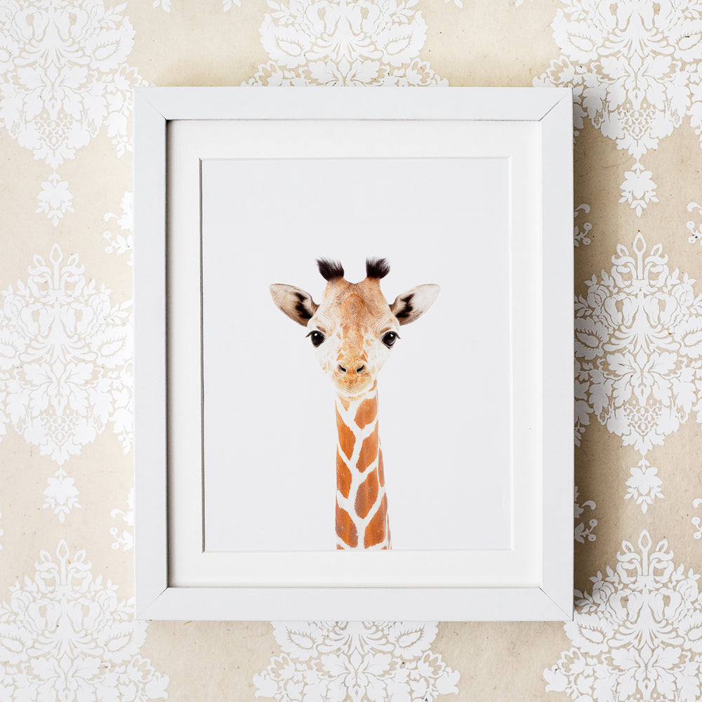 
                      
                        Baby Giraffe Print
                      
                    