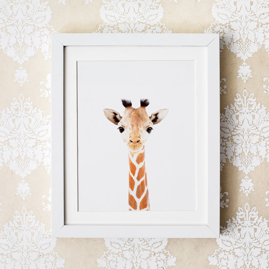 Baby Giraffe Print