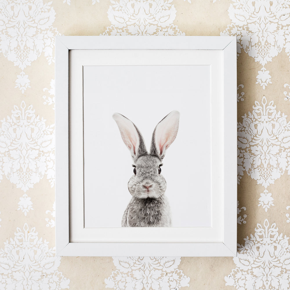 
                      
                        framed baby bunny nursery wall art print 
                      
                    