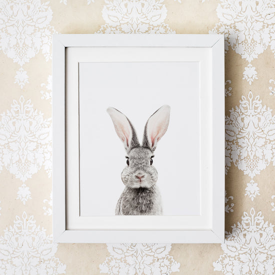 framed baby bunny nursery wall art print 