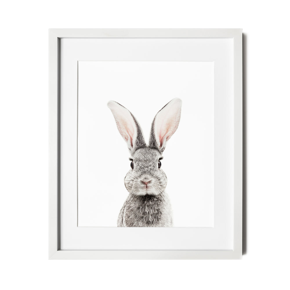 Baby Bunny Print