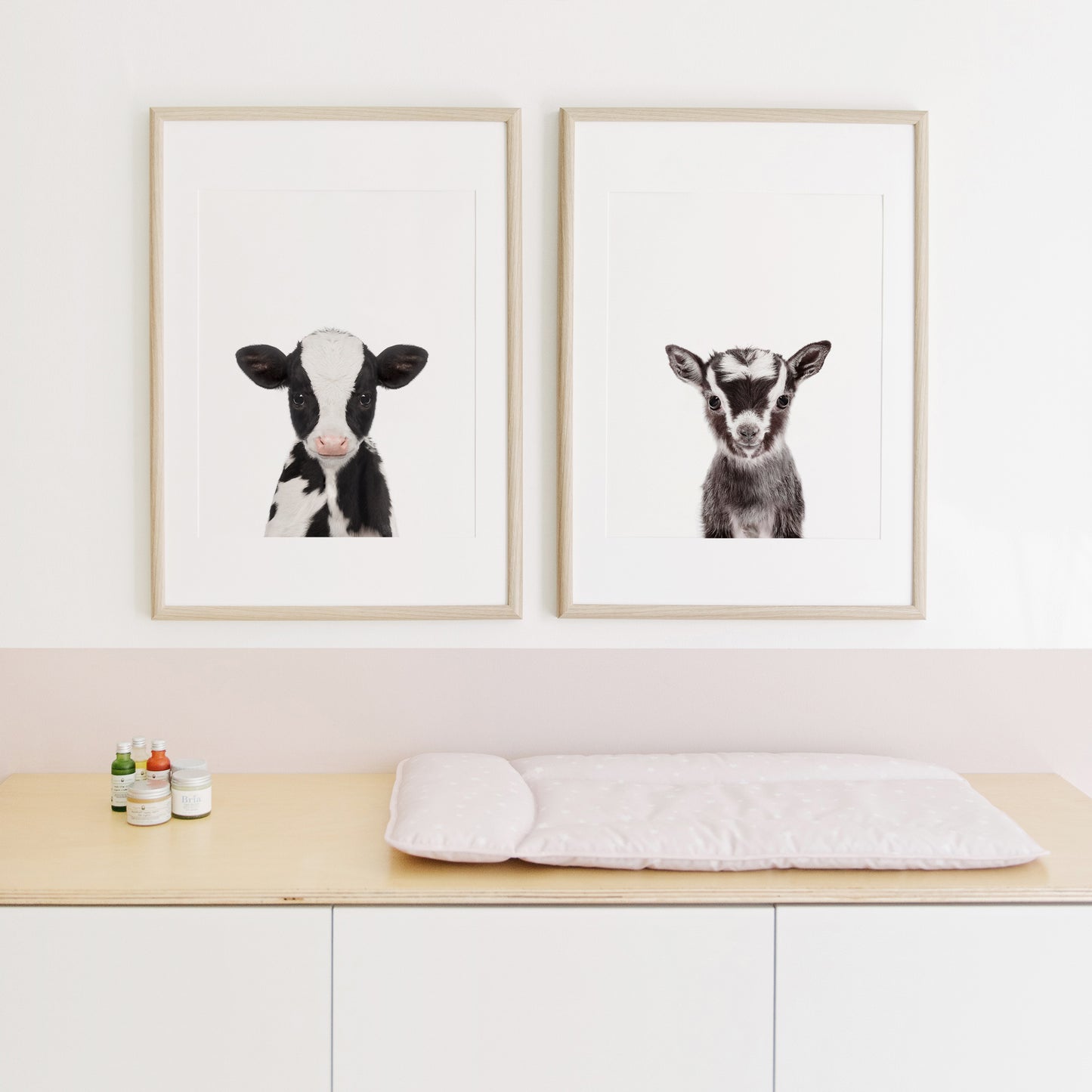 Baby Cow Wall Art Print