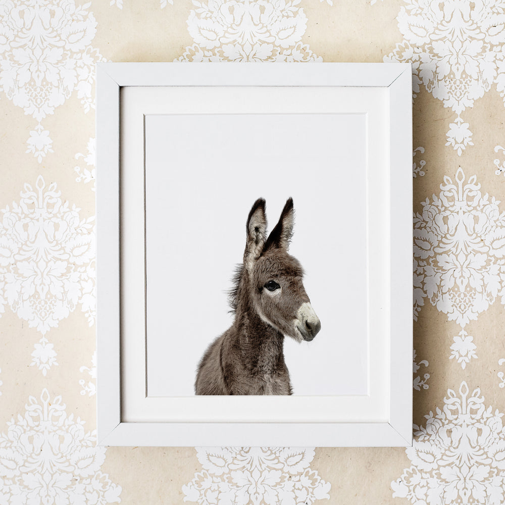 
                      
                        Baby Donkey Wall Art Print
                      
                    