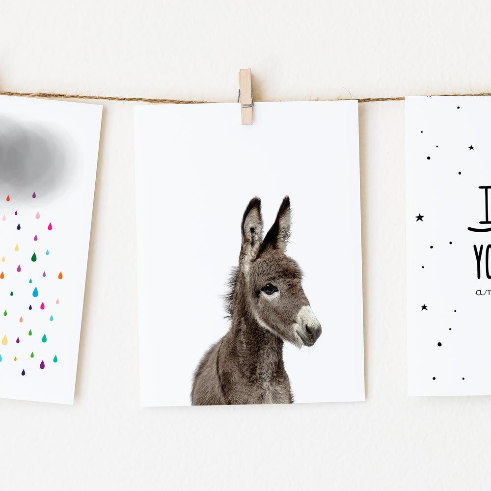 
                      
                        Baby Donkey Wall Art Print
                      
                    