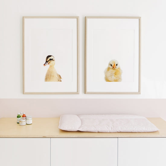 Baby Duck Wall Art Print