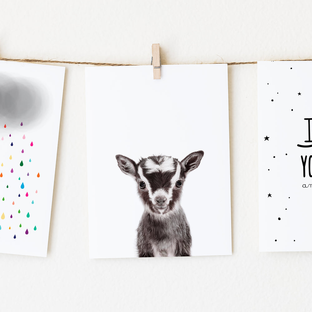 
                      
                        Baby Goat Wall Art Print
                      
                    