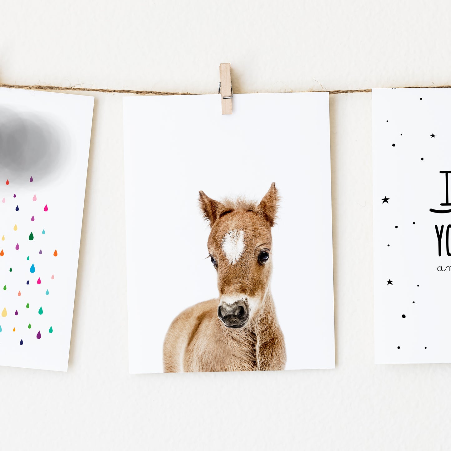Baby Horse Wall Art Print