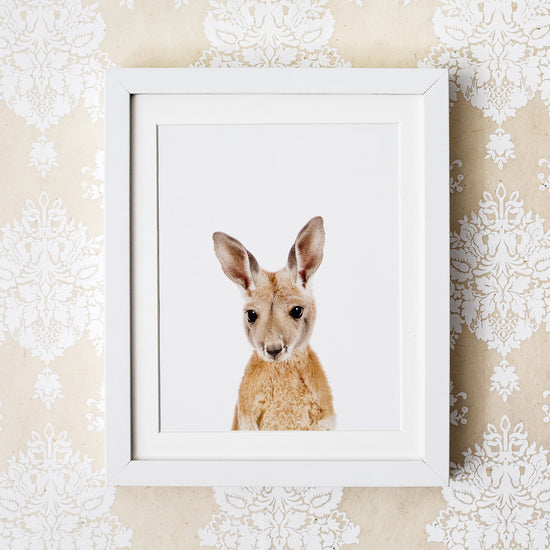 Baby Kangaroo Wall Art Print