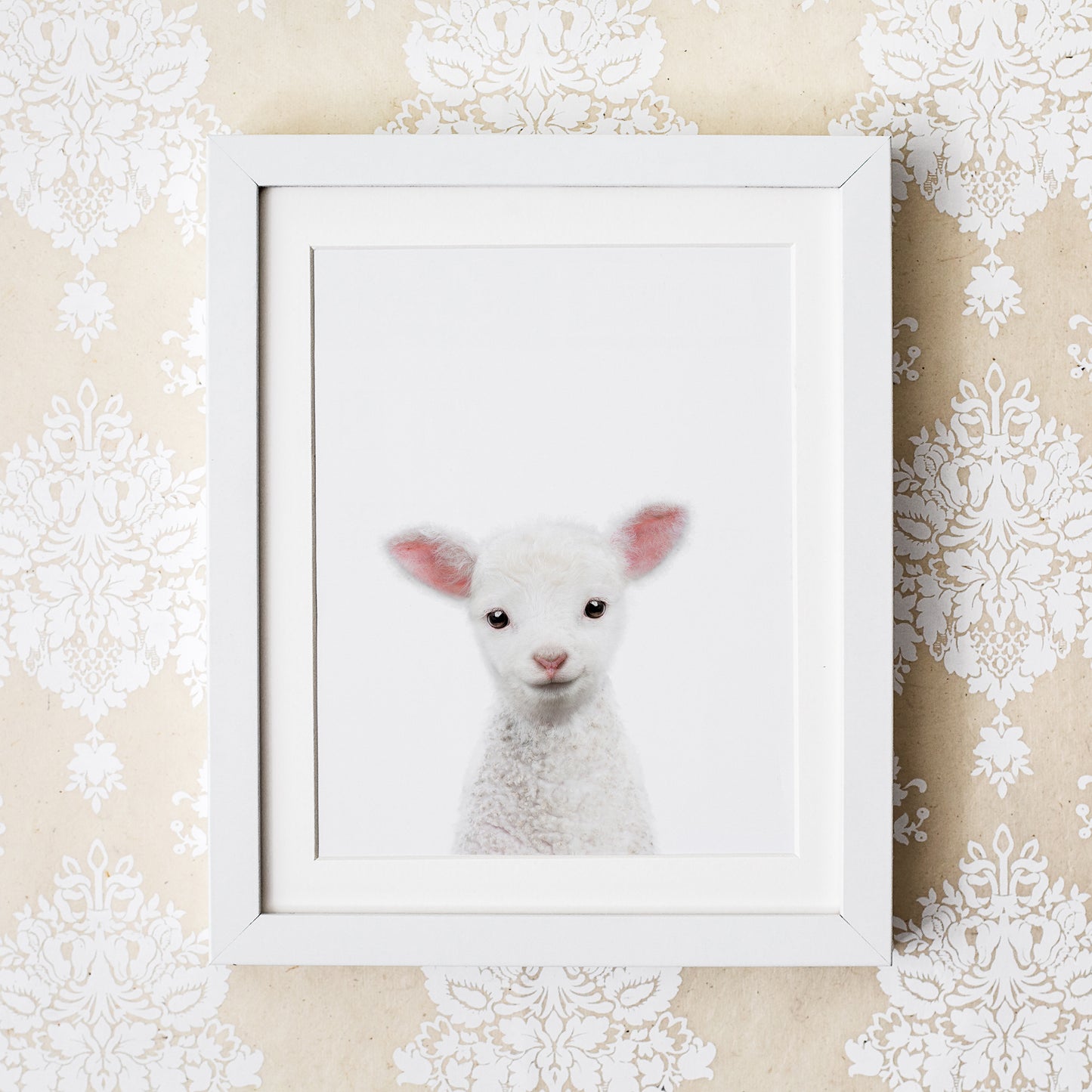 Baby Lamb Wall Art Print